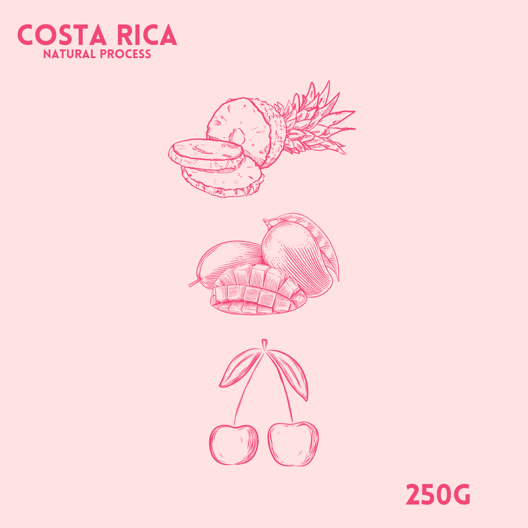 Costa Rica Monteverde Natural Process 250g