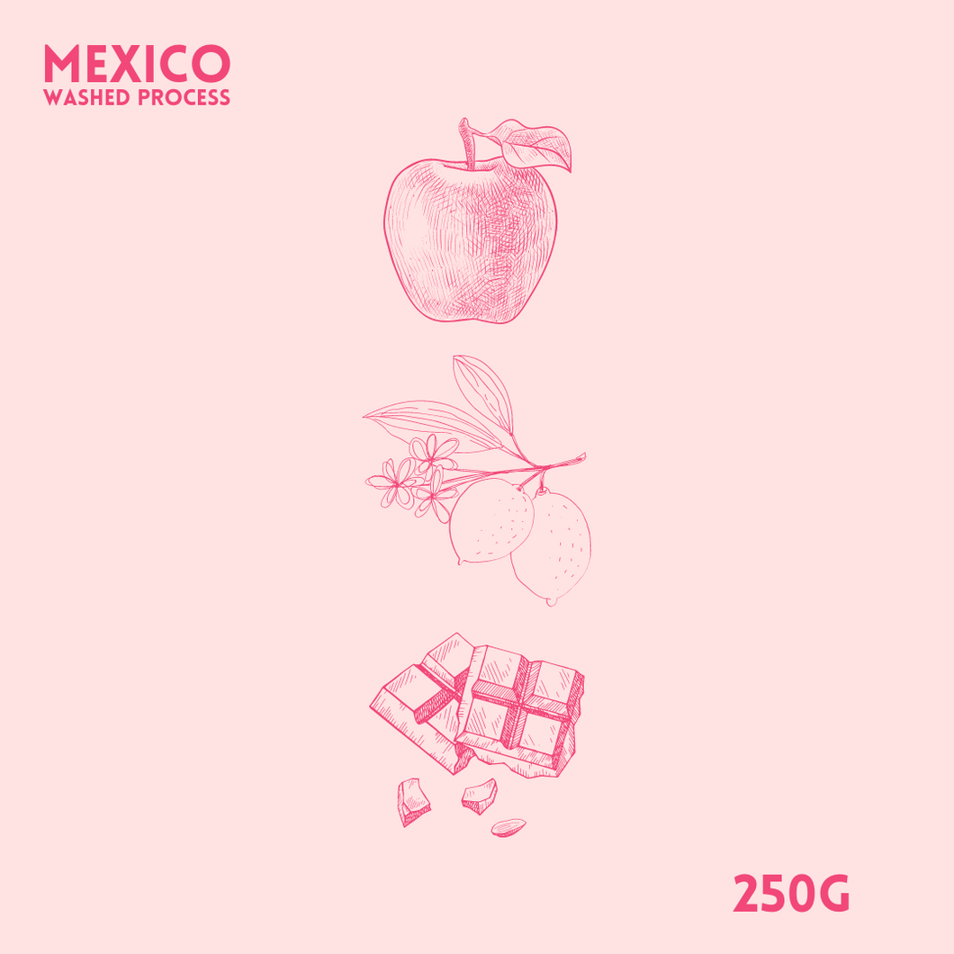 Mexico Chiapas Washed Process 250g