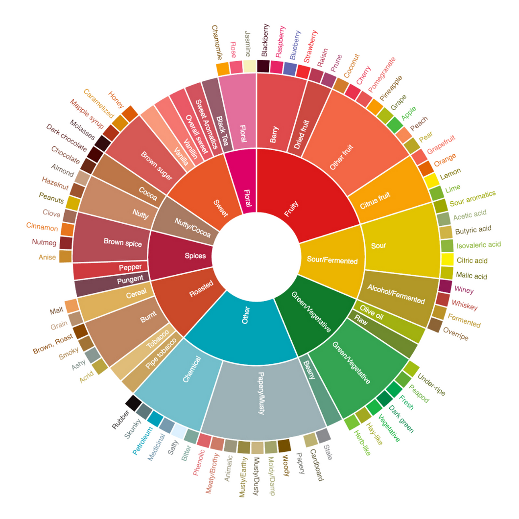 Flavor Wheel Coaster